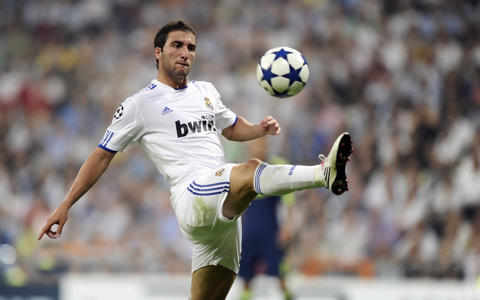 伯科夫冲线瞬间引爆现场气氛，博布科夫